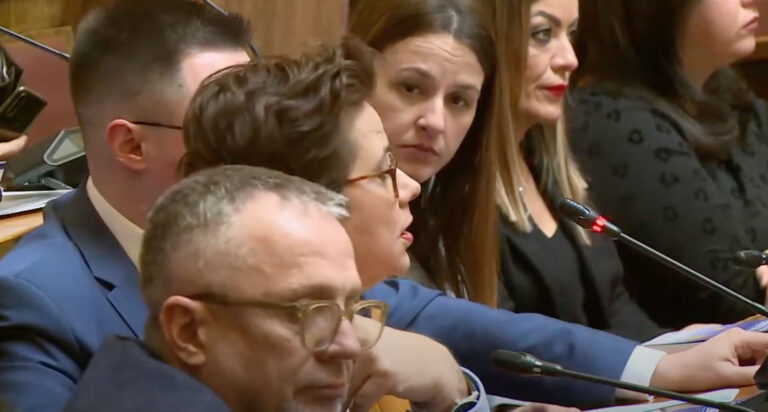 Lidija Komlen Nikolić: Objediniti rad radnih grupa za izradu ZKP i Zakona o unutrašnjim poslovima