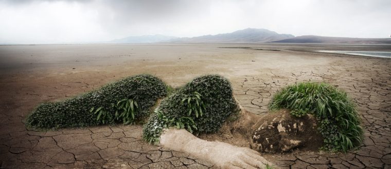 51581-nature-845849-scaled-rlbaqcwkvbwebz3dbxhltd6t9v4emhqrrqns8k4yck